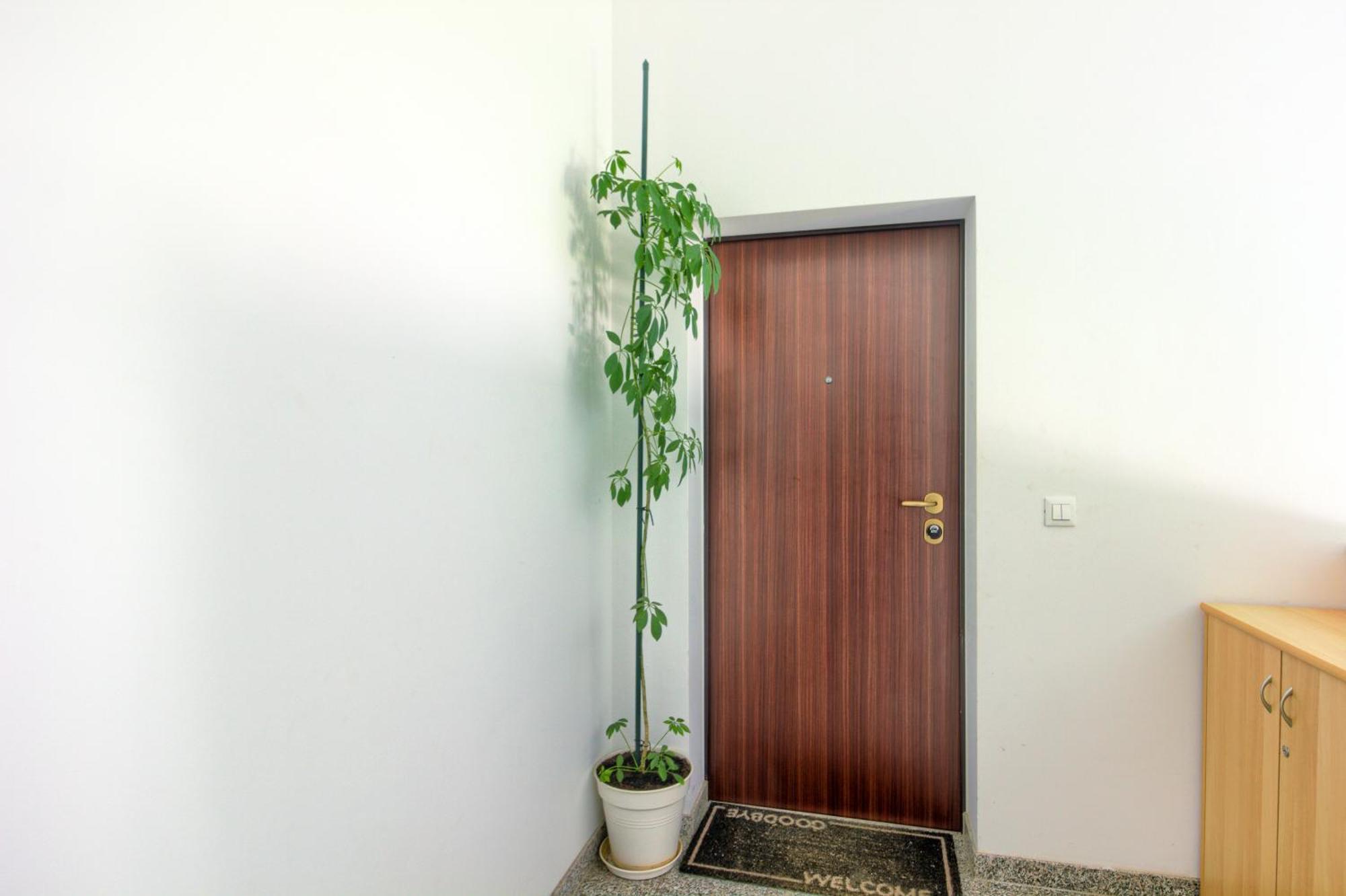 Apartments Zara Appartement Zadar